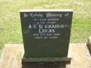 A.C.D. (Charlie) LUCAS, husband father, died 11 Nov 1988 aged 64 years; Yarraman cemetery, Toowoomba Regional Council 