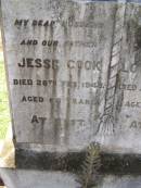 Jesse COOK,
husband father,
died 28 Feb 1948 aged 66 years;
Louisa COOK,
mother,
died 24 March 1969 aged 87 years;
Yarraman cemetery, Toowoomba Regional Council