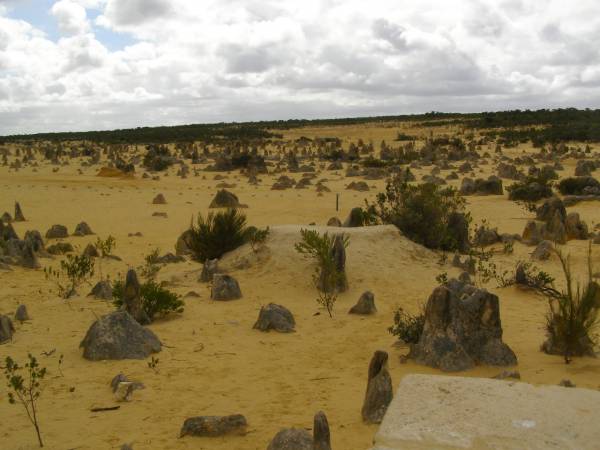 The Pinnacles, WA  | 