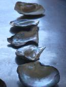 OL_20090914_1010.JPG