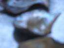 OL_20090914_1011.JPG
