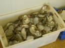 OL_20090914_1015.JPG