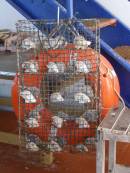 OL_20090914_1019.JPG