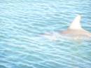 OL_20090914_936.JPG