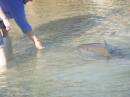 OL_20090914_953.JPG