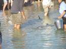 OL_20090914_954.JPG