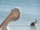 OL_20090914_973.JPG