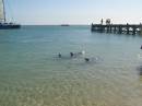 OL_20090914_979.JPG