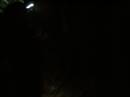 OL_20110219_048.JPG
