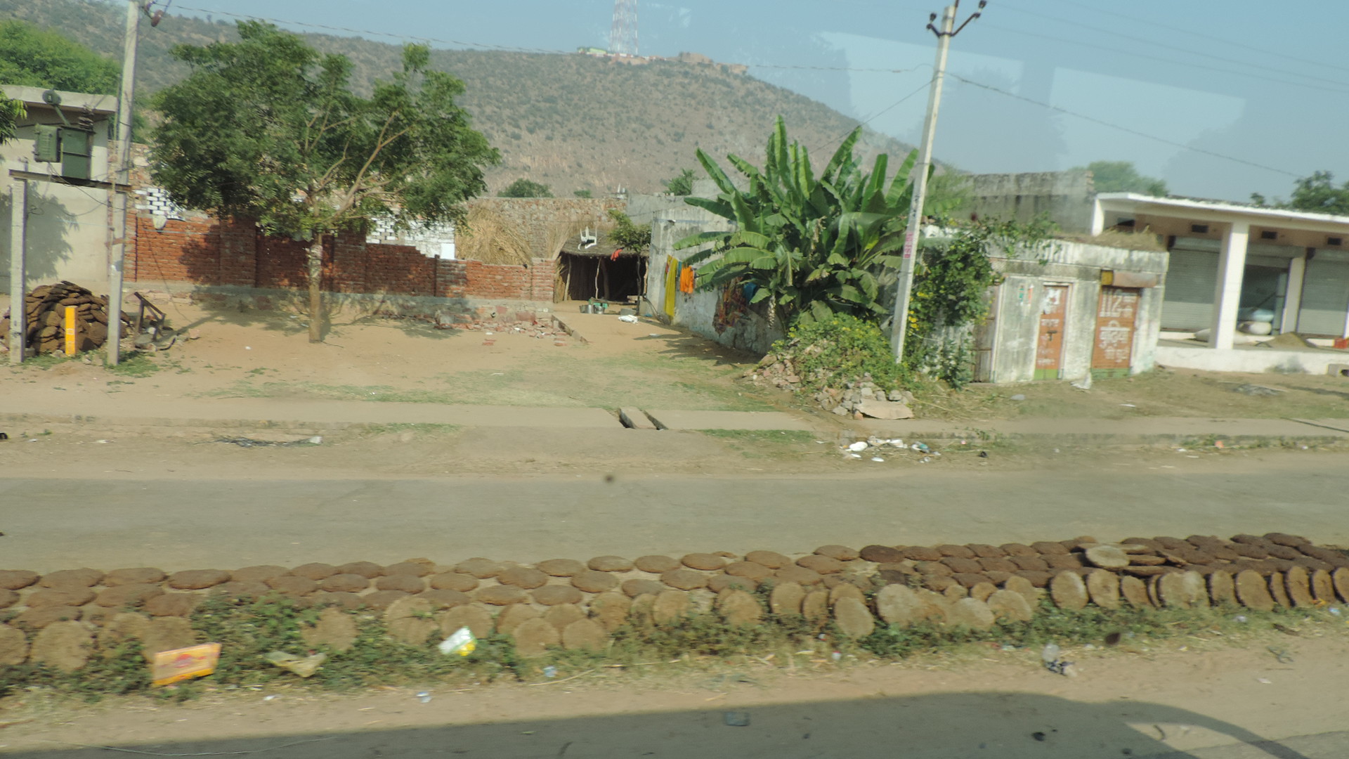 cow dung briquettes