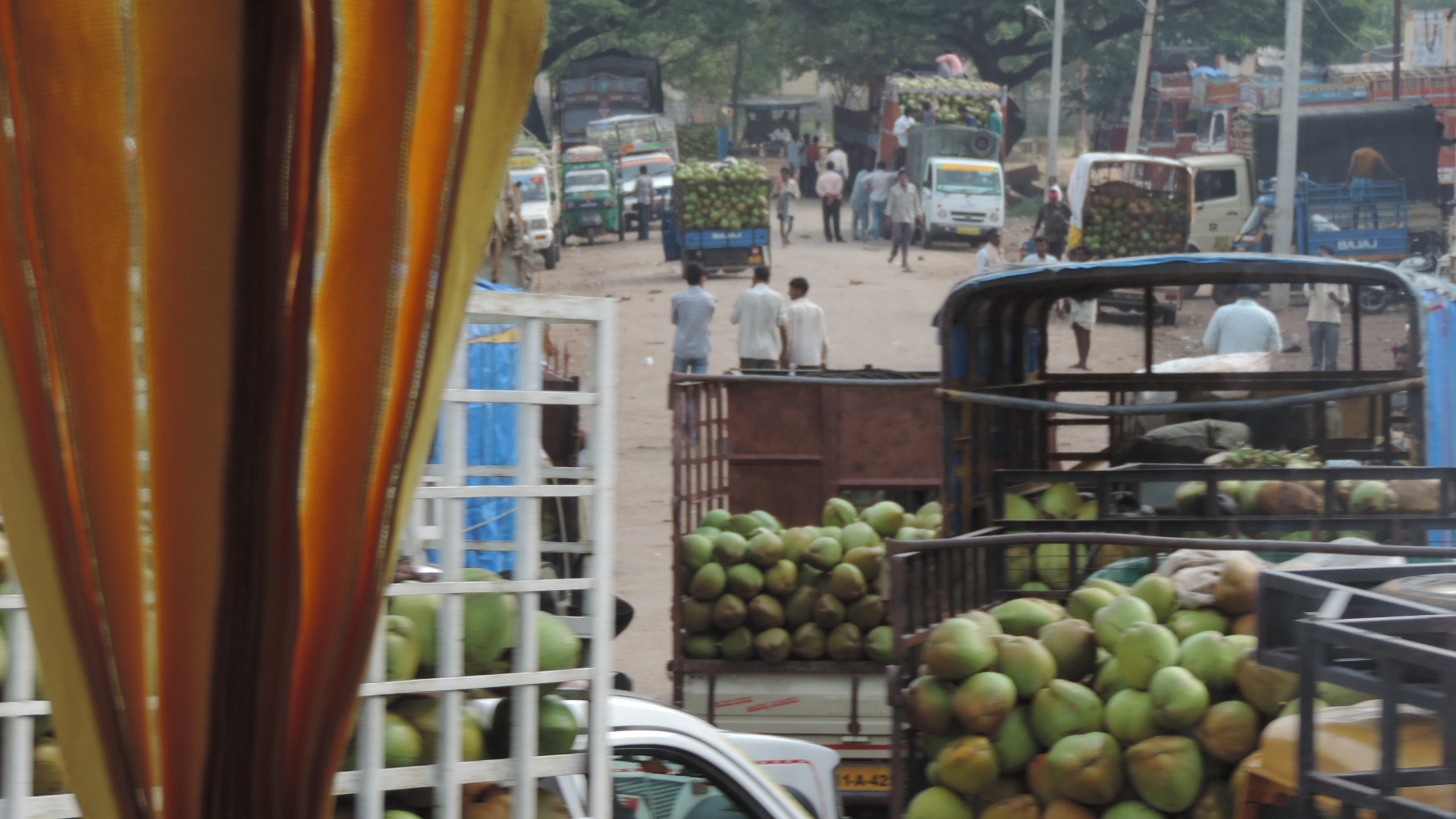 coconut market