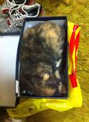 20140523-Cloudy_in_a_shoebox.jpg
