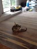 20140921-Cloudy-amongst-renovation.jpg