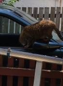 20141102-Sunny-Ooh_window_open.jpg