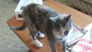 DSCN3281.JPG