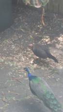 DSCN3283.JPG