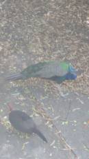 DSCN3286.JPG