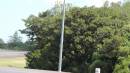 DSCN7886.JPG