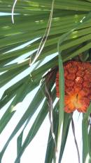 DSCN0528.JPG