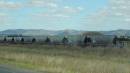 DSCN3136.JPG