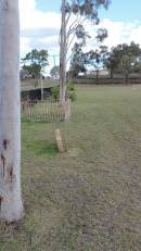 DSCN3146.JPG