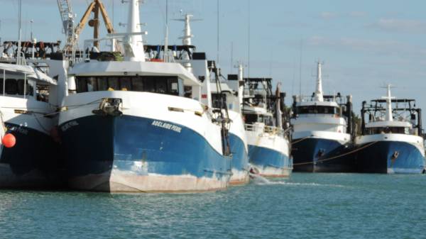 Prawning fleet in Karumba