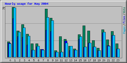 Hourly usage for May 2004