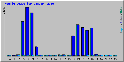 Hourly usage for January 2005