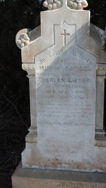 Minnie  GIETZEL  | d: 1 Oct 1902 aged 38  | late of Westbrook  | wife of Charles GIETZEL  |   | Carl GIETZEL  | d: 3 Jan 1931 aged 83  |   | Augusta GIETZEL  | d: 14 Jan 1934 aged 34 ?  |   | Aubigny St Johns Lutheran cemetery, Toowoomba Region  |   | 