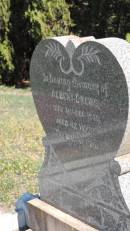 Auguste DREWS
d: 8 Oct 1938 aged 84
Carl DREWS
d: 9 Sep 1939 aged 95
Lillie DREWS
d: 10 Jan 1935 aged 47
Albert DREWS
d: 31 Dec 1935 aged 42
Aubigny St Johns Lutheran cemetery, Toowoomba Region