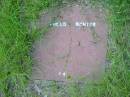 Phillis RICHTER;
Barney View Uniting cemetery, Beaudesert Shire