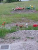 Barney View Uniting cemetery, Beaudesert Shire