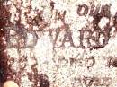 Edward Worthy FREE, father,
died 16 May 1962 aged 73 years;
Beerwah Cemetery, City of Caloundra
