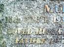 Leo John Daniel MURRAY,
18 Sept 1937 - 27 Oct 1993,
husband of Margaret,
father of Denis, Eugene, Regina, Lucinda &
Bernadette;
Beerwah Cemetery, City of Caloundra