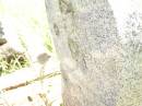 Hanna??? ???NES,
19 March;
Bell cemetery, Wambo Shire
