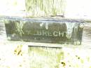 A. ALBRECHT;
Bell cemetery, Wambo Shire