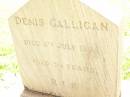 Denis GALLIGAN,
died 4 July 1936 aged 54 years;
Bell cemetery, Wambo Shire