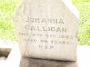Johanna GALLIGAN,
died 7 Dec 1953 aged 66 years;
Bell cemetery, Wambo Shire