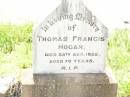 Thomas Francis HOGAN,
died 28 Aug 1952 aged 70 years;
Bell cemetery, Wambo Shire
