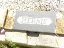 Bernard (Bernie) Michael CUDDIHY,
husband father grandfather,
died 10 Dec 1979 aged 71 years;
Bell cemetery, Wambo Shire