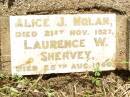 Alice J. NOLAN,
died 21 Nov 1927;
Laurence W. SHERVEY,
died 25 Aug 1940;
Bell cemetery, Wambo Shire