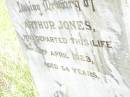 Arthur JONES,
died 3 April 1923 aged 54 years;
Bell cemetery, Wambo Shire