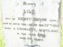 Lily,
wife of Henry ENSOR senr,
born Cromarty Scotland 1838,
died 27 Dec 1918 aged 80 years;
Bell cemetery, Wambo Shire