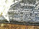 James Thomas MCDONALD,
husband,
died 18 July 1960 aged 73 years;
Elizabeth Jane MCDONALD,
wife,
died 26 Sept 1967 aged 81 years;
Bell cemetery, Wambo Shire