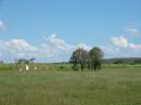 Bell cemetery, Wambo Shire