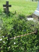 Bell cemetery, Wambo Shire