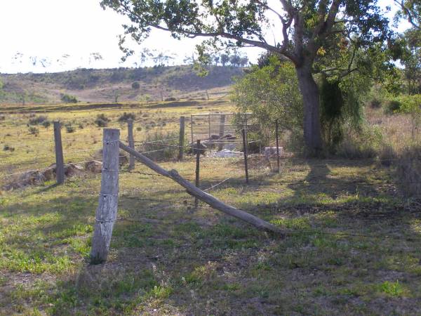 Bergen Djuan cemetery, Crows Nest Shire  | 