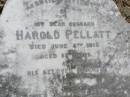 Harold PELLATT, husband,
died 5 June 1918 aged 53 years;
Alice, daughter,
died 31 July 1898 aged 3 years;
Alfred E. PELLATT,
died 22 Oct 1939 aged 40 years;
Alice PELLATT,
died 14 Jan 1948 aged 82 years;
Brookfield Cemetery, Brisbane