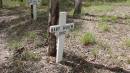
Baby BAKER
d: 1892
Bunya cemetery, Pine Rivers
