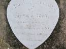 Bertie, 11 years;
Tony, 8 years;
sons of Mr & Mrs C.A. OST,
accidentally killed 1 Dec 1942;
Caffey Cemetery, Gatton Shire